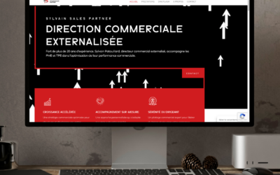Création de site web vitrine pour Sylvain Sales Partner