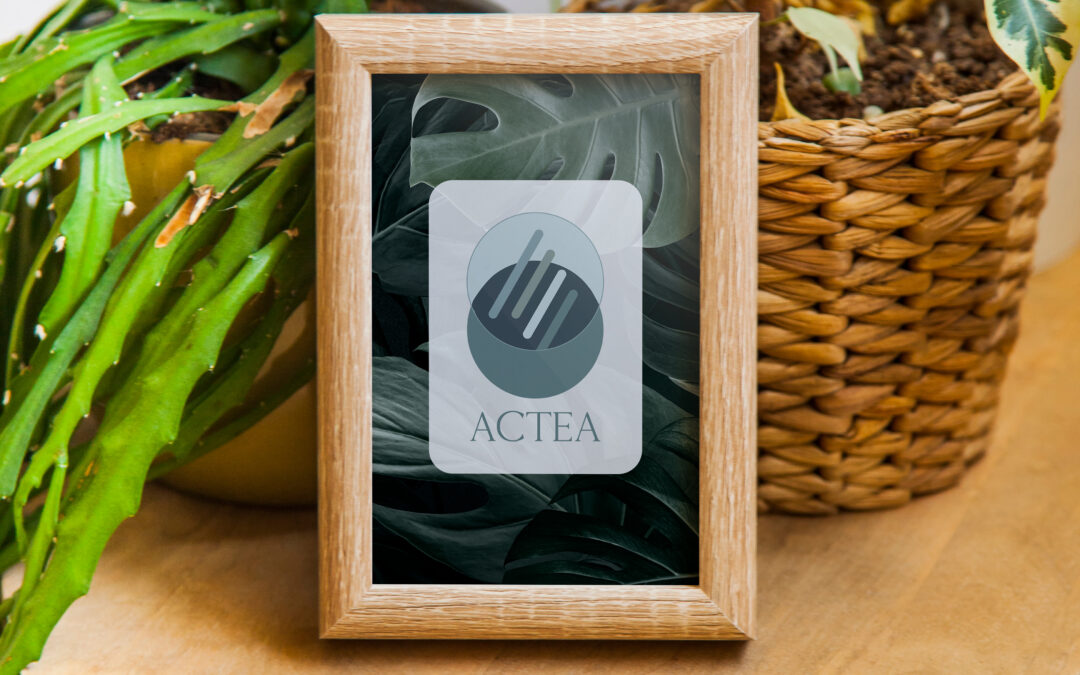 Identité visuelle pour Actea