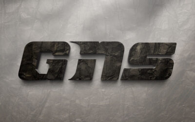 Création d’identité visuelle pour GNS