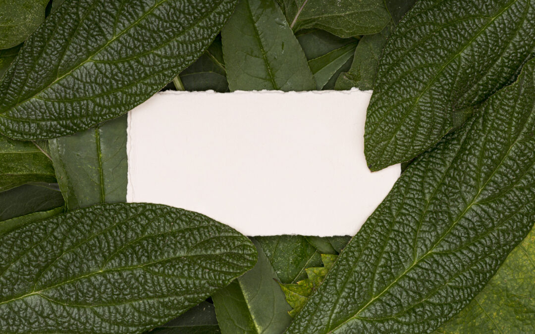 PaperWise® Earth Pact Naturel 